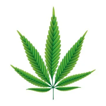 Green Hemp leaf vector illustration Stock Illustration