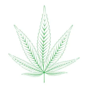 Green Hemp leaf vector illustration Stock Illustration