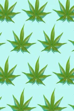 Green hemp leaves pattern on blue background. 3d render texture. Stock Illustration