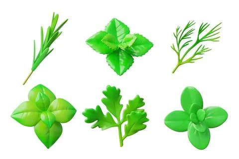 Green herb vector illustration icon set in 3D Illustrazione stock