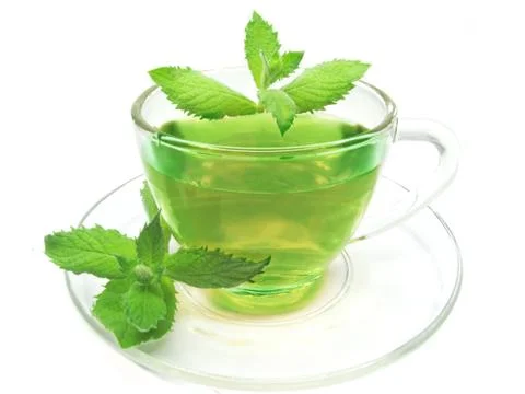 Green herbal tea with mint Stock Photos