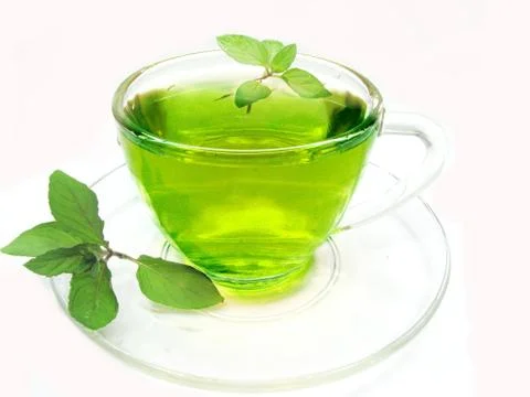 Green herbal tea with mint Stock Photos