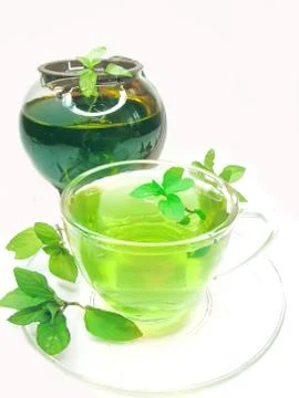 Green herbal tea with mint Stock Photos