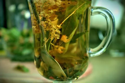 Green herbal tea Foto stock