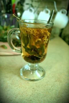 Green herbal tea Stock Photos