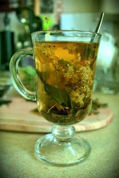Green herbal tea Stock Photos