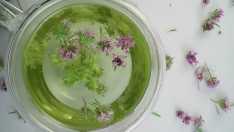 Green herbal tea with thyme flower. Stock Footage 310132381