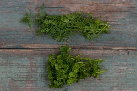 Green herbs on table Fotos Stock