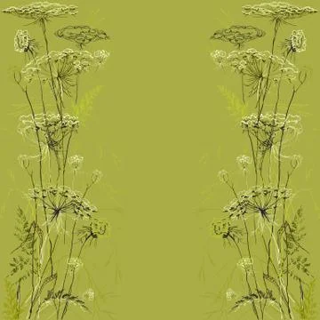 Green herbs vector background. Hand drawn meadow design. Stock Illustration