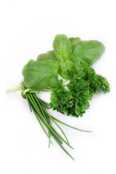 Green herbs on white background Stock Photos