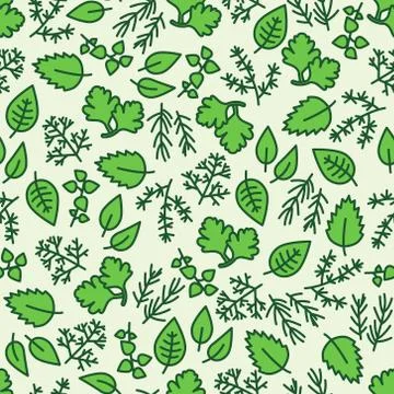 Green hergbs seamless pattern Stock Illustration