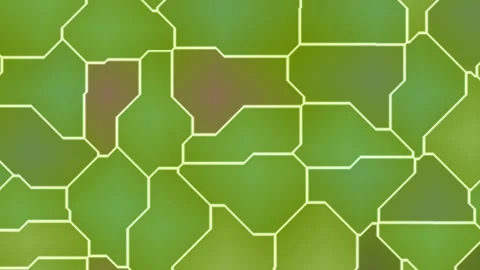 Green Hexagonal Pattern Animation with Brown Spots. Stock Footage 329928486