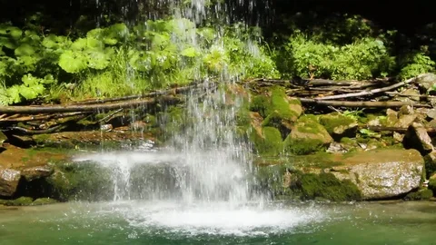 Green hidden magic waterfall in the middle of forest Stock Footage 112026254