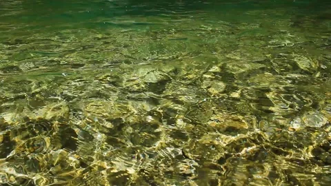 Green hidden magic waterfall in the middle of forest Stock Footage 112027360