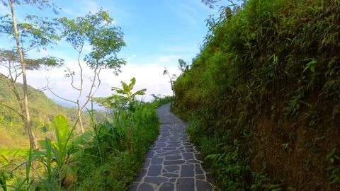 Green high hillside road with clear sky Video stock 165480407