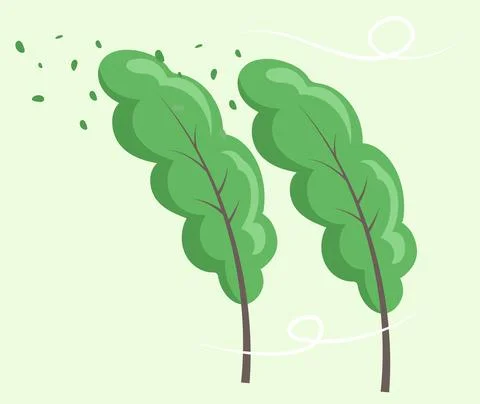 Green high trees with lush crown, thin brown trunk and branches bend away from Stock Illustration