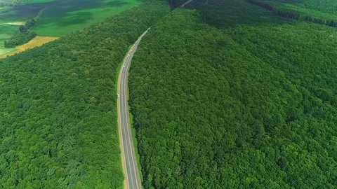 Green highlands covered by dense forest and winding road aerial landscape. 4K. Stock Footage 115419306