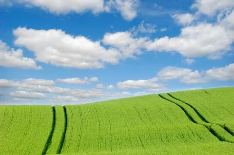 Green hill and clouds Stock Photos