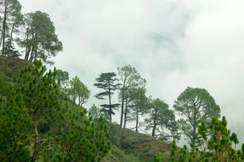 Green hill in the clouds Stock Photos