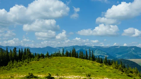 Green hill with a growing forest time lapse scene Video stock 310089334