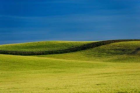 Green hill Stock Photos