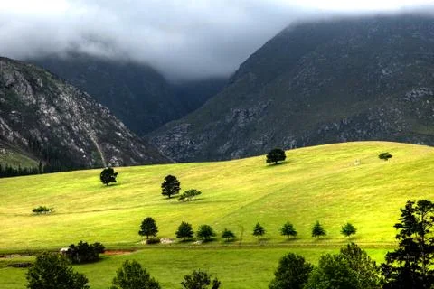 Green hill Stock Photos