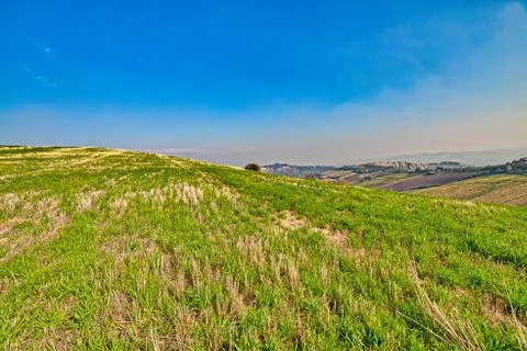 Green hill Stock Photos