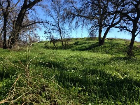 Green Hill Stock Photos