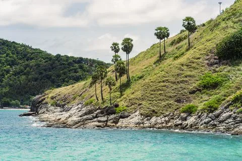 Green hill with tall palm trees and rocky shore, in sunny weather with waves Stock Photos