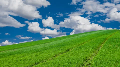 Green hill under blue cloudy sky time lapse scene Stock Footage 165348664