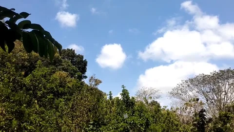 Green Hill Under Bright Sky 库存影片 341262653