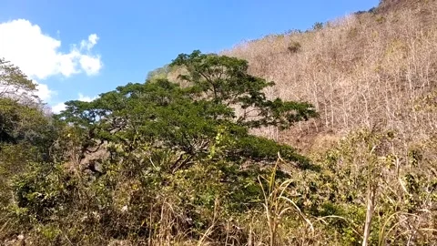 Green Hill Under the Clear Sky Stock-Footage 341797927