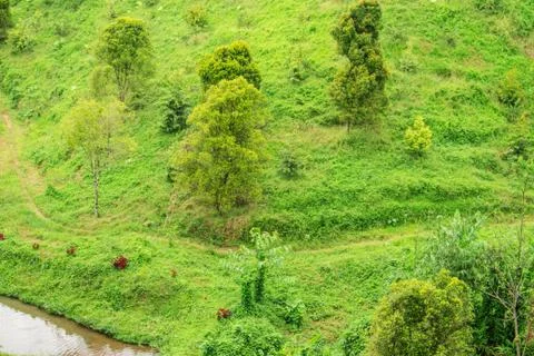 Green Hill View Stock Photos