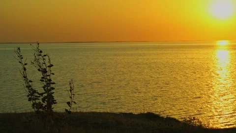 Green hills against the background of the river in the rays of the sunset. A Stock Footage 308059357