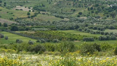 The Green Hills of Cyprus Stock Footage 112369361