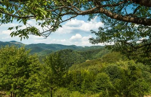 Green hills during the sunny day with blue sky and white clouds Stock Photos