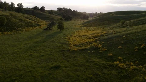 Green hills Video stock 99195046