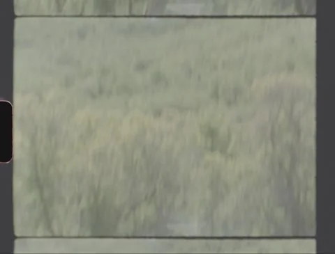 GREEN HILLS Video stock 201447742