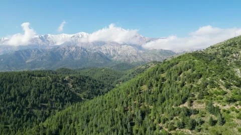 Green Hills Stock Footage 274534205