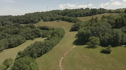 Green hills, forest and fields Stock Footage 232485172