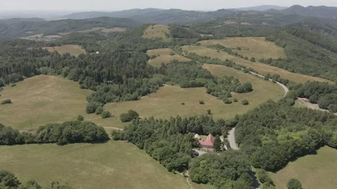 Green hills, forest and fields Stock Footage 232485711