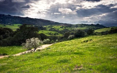 Green Hills Landscape with Dramatic Clouds and Sun Rays Stock Photos