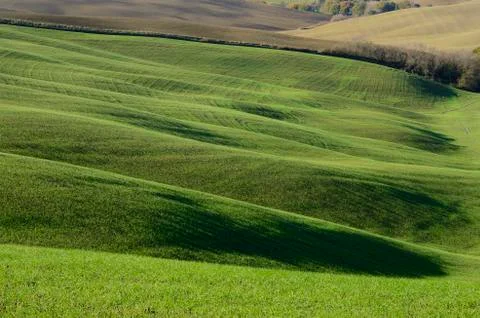 Green hills 스톡 사진