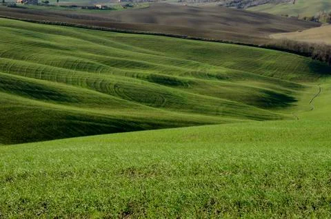 Green hills Stock Photos