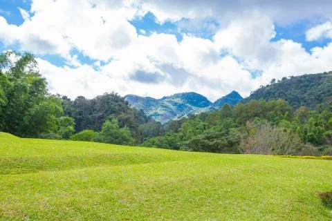 Green hills Stock Photos