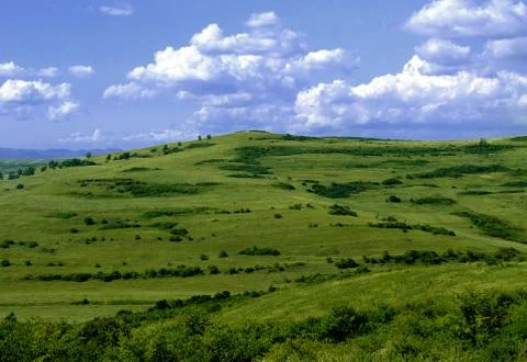 Green hills Stock Photos