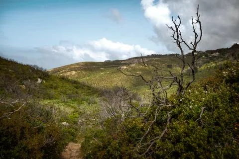 Green Hills Stock Photos