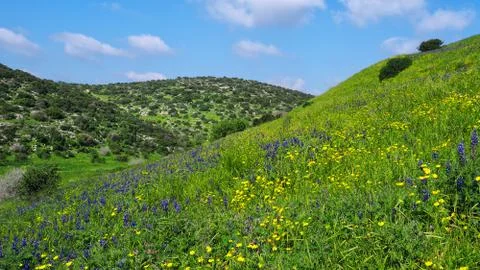 Green Hills Stock Photos
