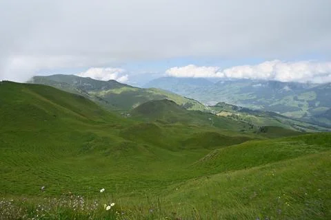 Green hills Stock Photos
