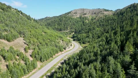 Green Hills Road Stock Footage 274533983